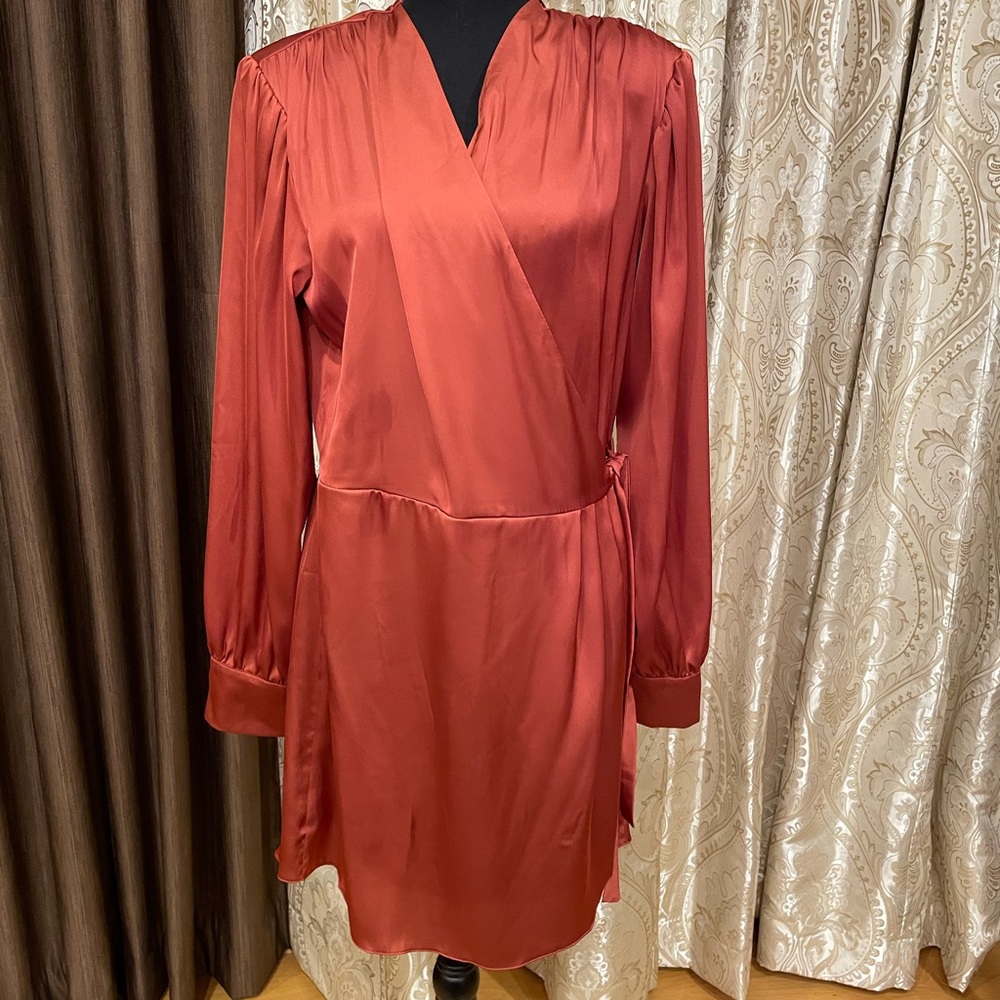 Long sleeved Cinnamon color mini dress